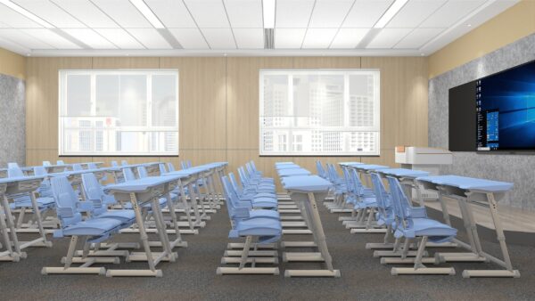 Ergonomic Adjustable Student Desk and Chair Set (HY-03116)