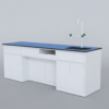 Laboratory Workbench with Sink