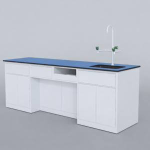 Laboratory Workbench with Sink